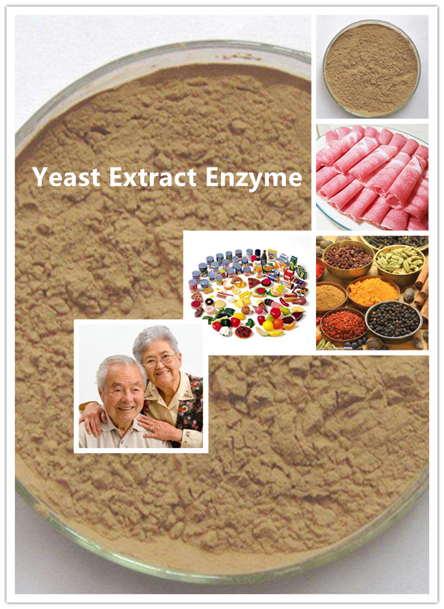 Yeast Extract Enzyme CoSuppliers Limited