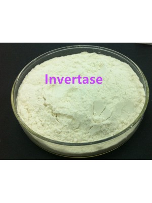 Invertase Enzyme