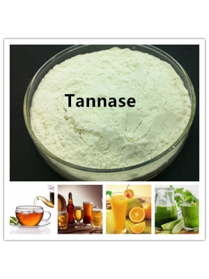 Tannase Enzyme to Improve Tea Beverage Taste and Avoid Haze
