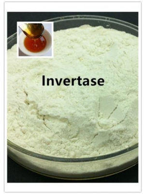 Enzyme Invertase