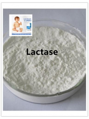 Acid Lactase/ β-galactosidase