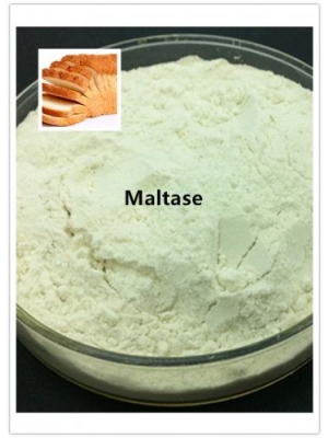 Maltogenic amylase Enzyme