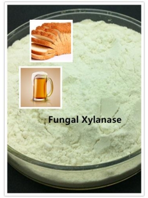 Fungal Xylanase for Bakery Usage