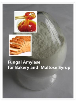 Fungal Alpha Amylase Enzyme for Bakery, Beverage, etc.