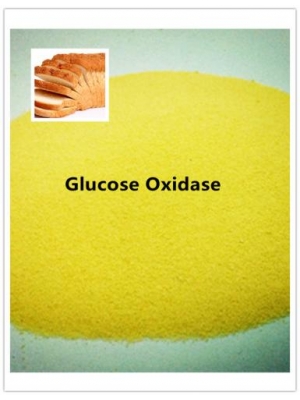 Glucose Oxidase Enzyme for Bakery, Brewery, etc.