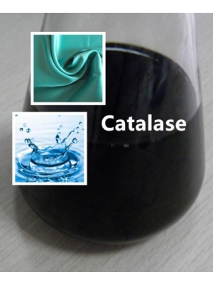 Catalase Enzyme