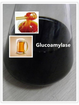 Glucoamylase Enzyme