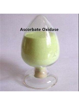 Ascorbate Oxidase Enzyme