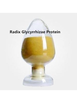 Radix Glycyrrhizae protein