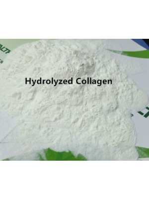 Hydrolyzed Collagen Powder from Bovine/Fish