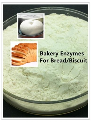 Enzyme for Bakery