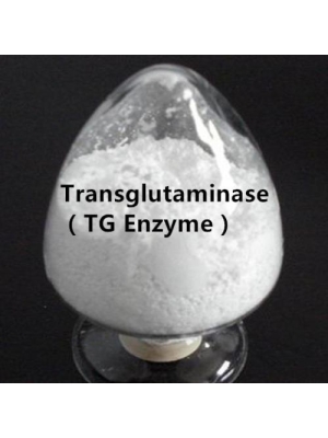 Transglutaminase TG Enzyme