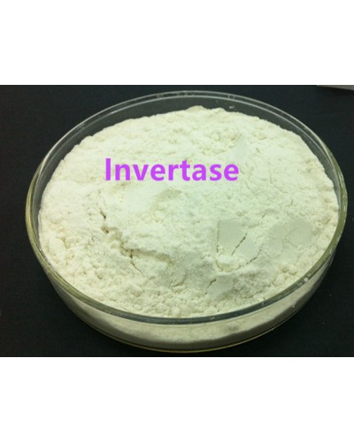 Invertase Enzyme