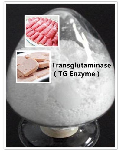 TG Enzyme(Transglutaminase)