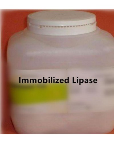 Immobilized Lipase