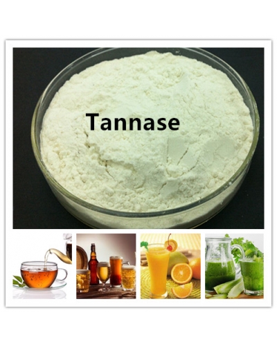 Tannase Enzyme to Improve Tea Beverage Taste and Avoid Haze