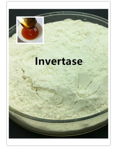 Enzyme Invertase