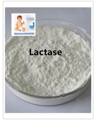 Acid Lactase/ β-galactosidase