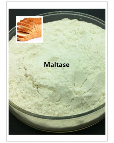 Maltogenic amylase Enzyme