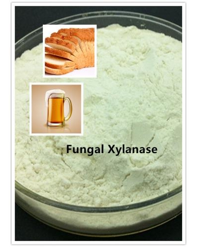 Fungal Xylanase for Bakery Usage