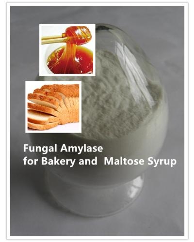 Fungal Alpha Amylase Enzyme for Bakery, Beverage, etc.