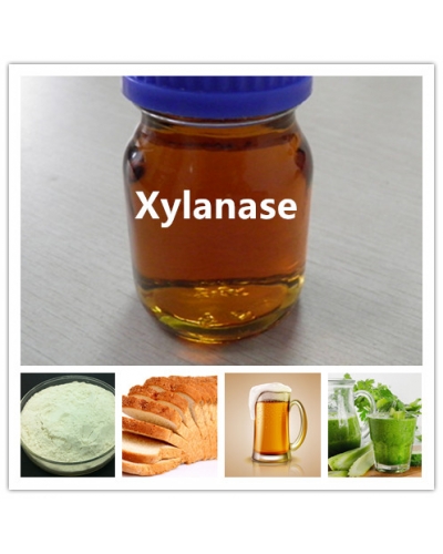 Xylanase for Bakery, Berewery, Ethanol, etc. Production