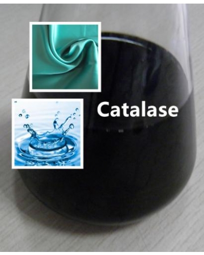 Catalase Enzyme