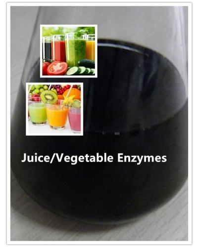 Fruit/Vegetable Juice Multi-Enzyme