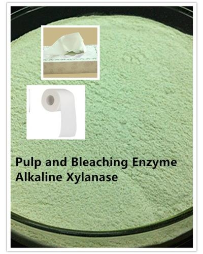 Pulp& Paper Making Enzymes