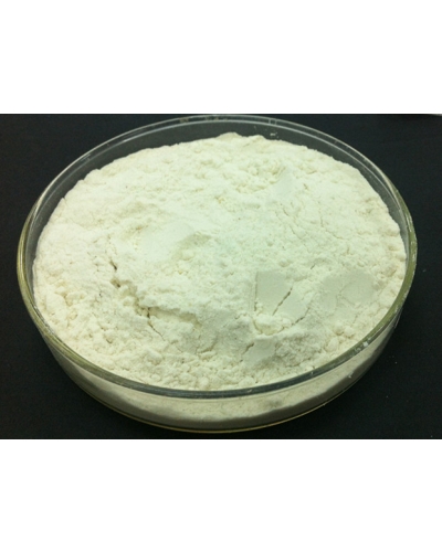 Nattokinase Enzyme