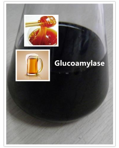 Glucoamylase Enzyme