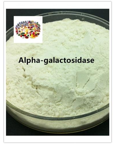 Alpha-galactosidase Enzyme