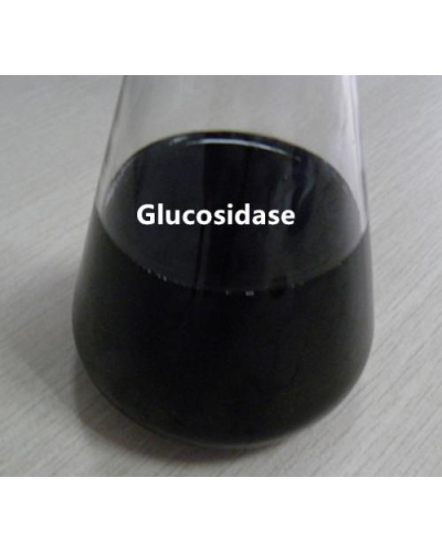 Transglucosidase Enzyme