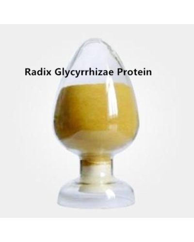Radix Glycyrrhizae protein