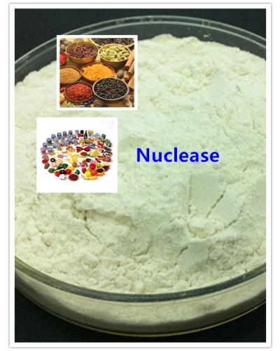 Nuclease Enzyme