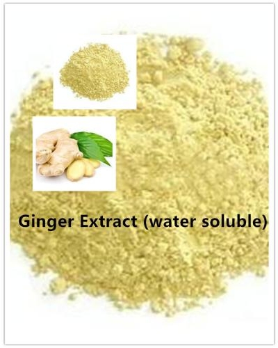Ginger Extract (Water Soluble)