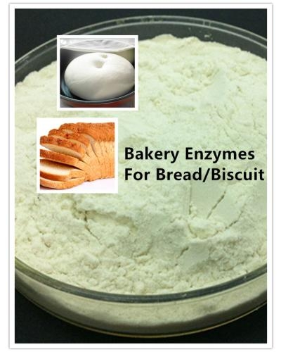 Enzyme for Bakery