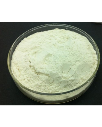 Enzyme Tannase